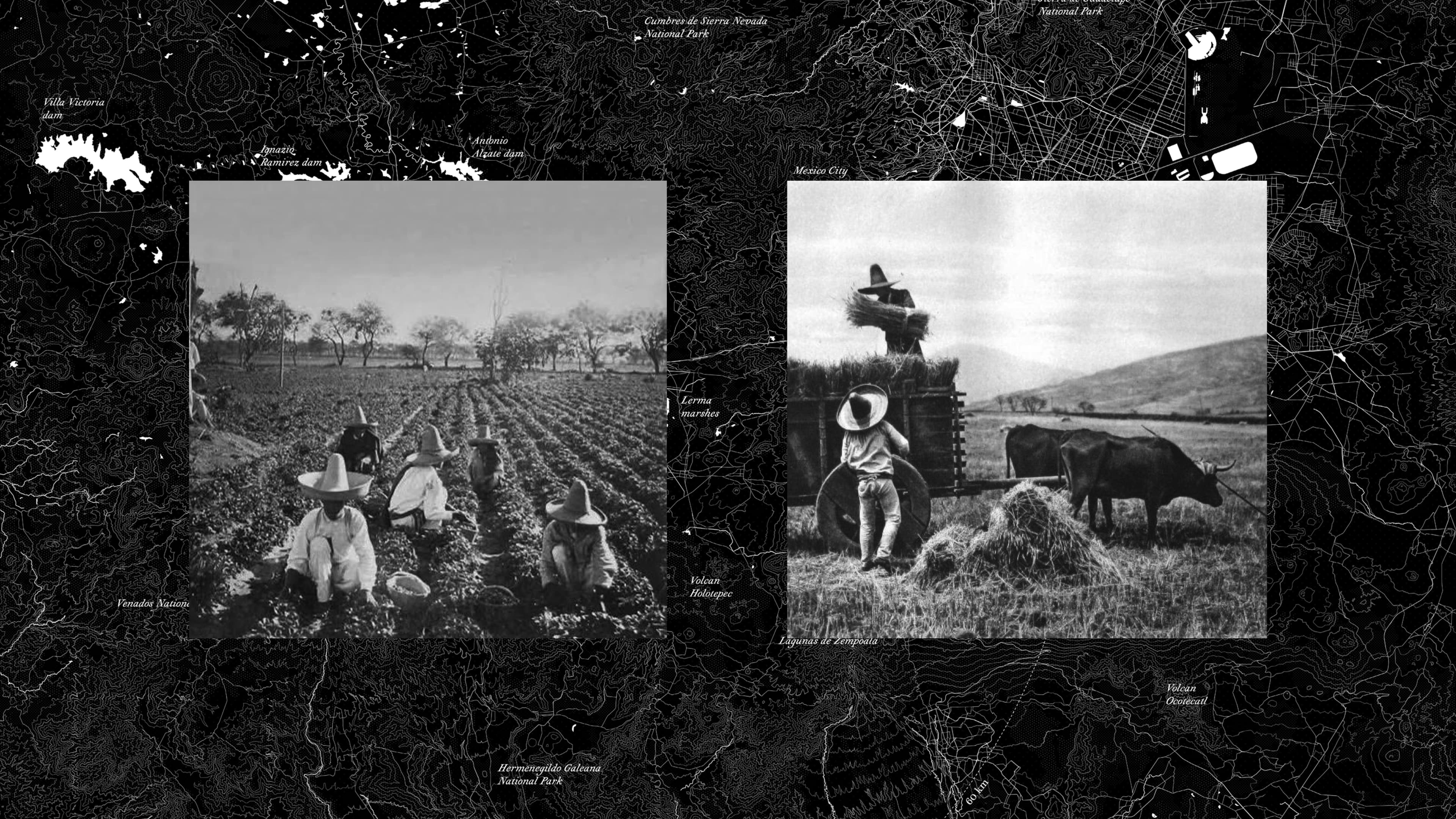 agriculture