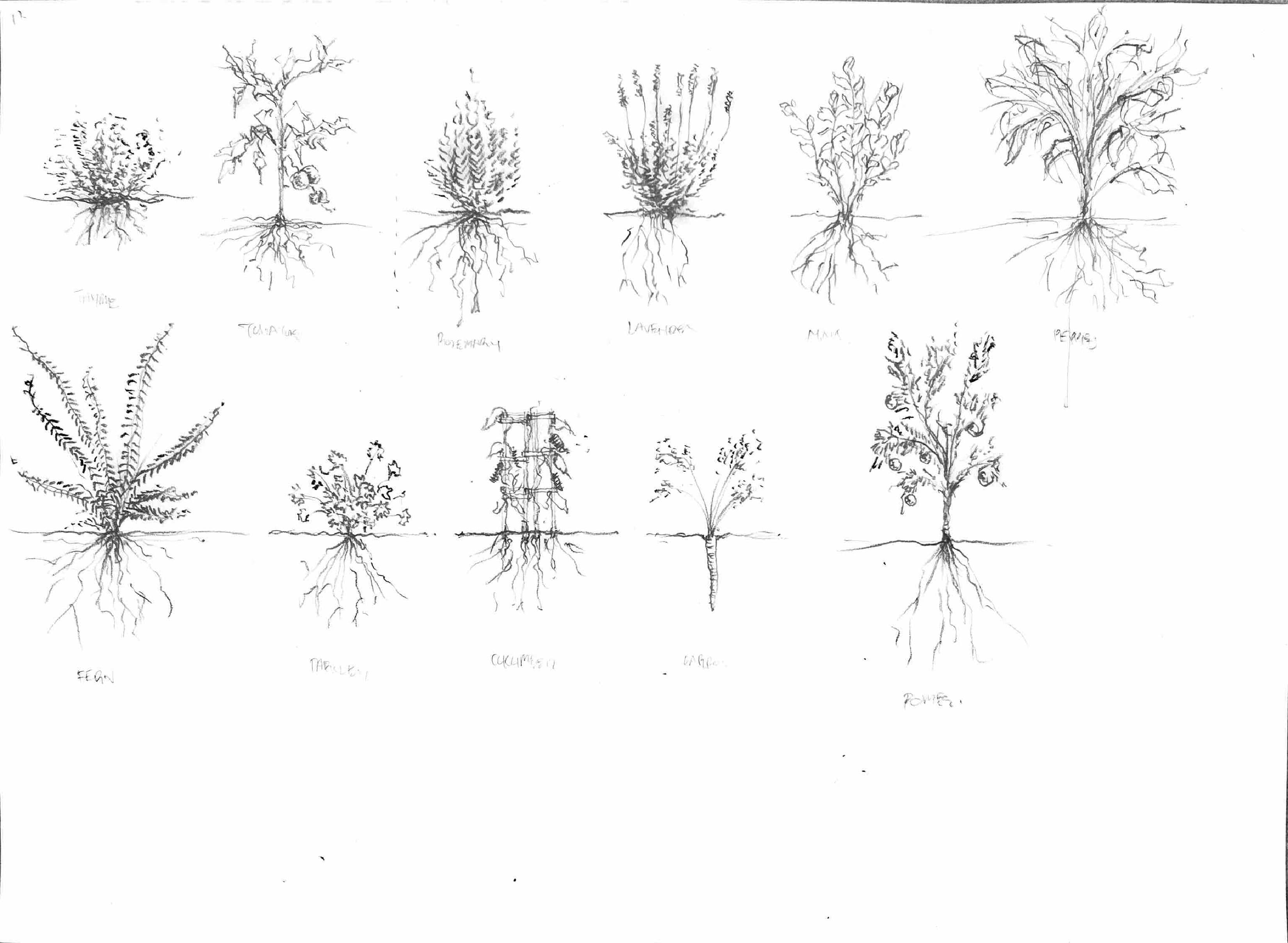 existingplants