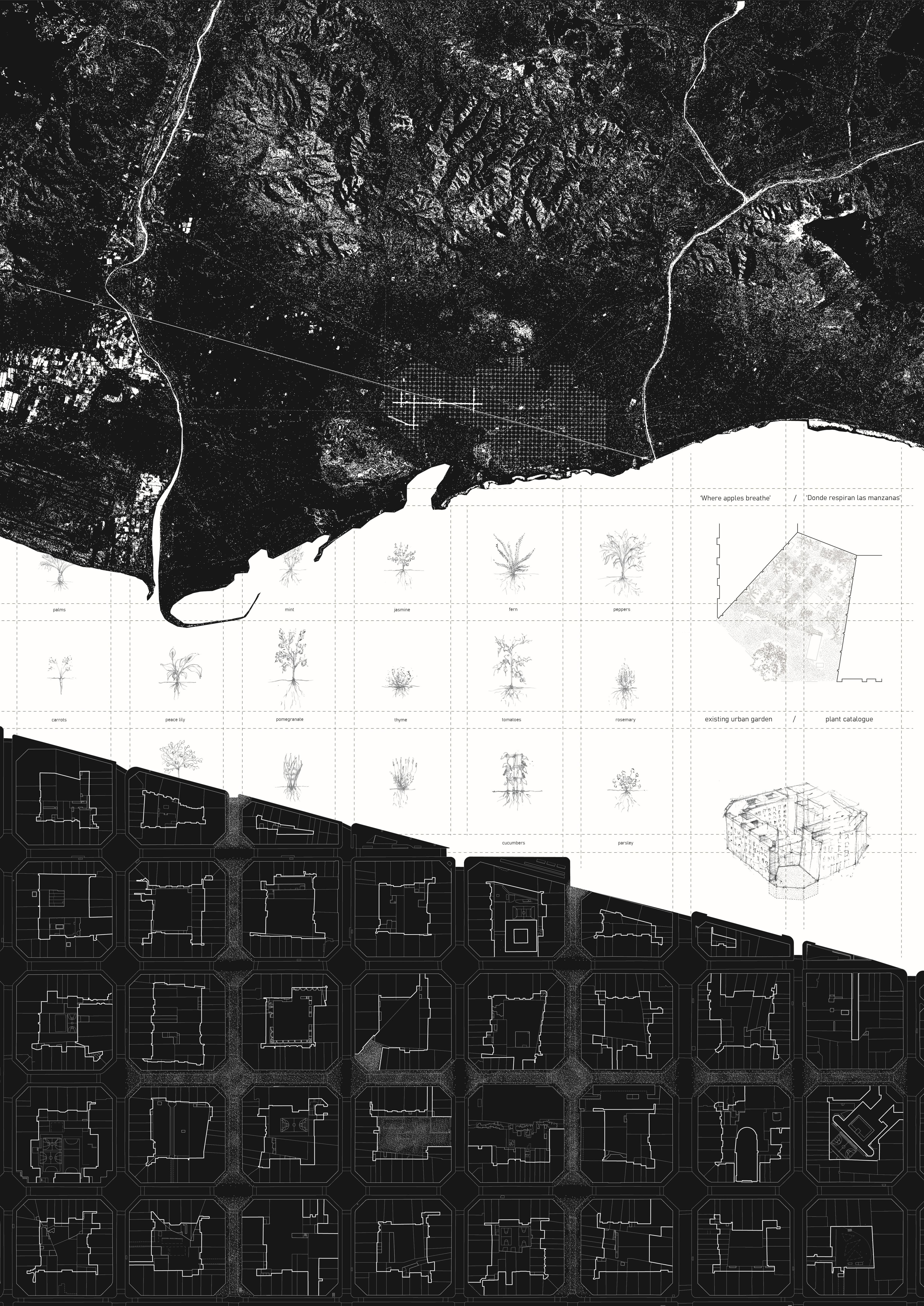 siteplan